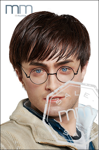 Silicon head Harry Potter