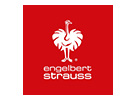 Engelbert Strauss